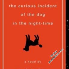Haddon, Mark - The curious incident of the dog in the night-time