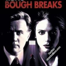 When the Bough Breaks (1994)