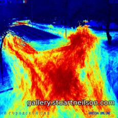 Stuart Neilson - 2b9 Odessa City Park (motion heat-map)