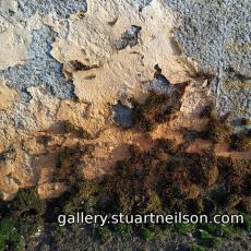Stuart Neilson - 3e4 Landscape on a pavement edge, Monaghan